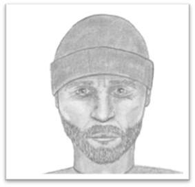 A suspect described as a white male, 30-40 years old, six feet tall, average build, with short unkept facial hair (brown or blonde in color). 