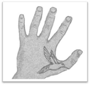 a tattoo of a hummingbird on the back of the suspect’s left hand, between the thumb and index finger.