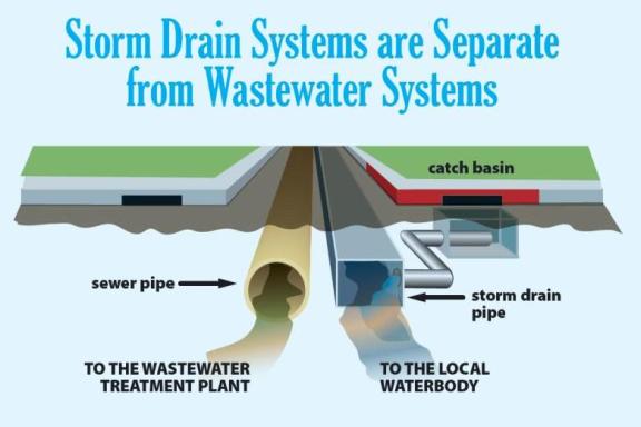 Graphic showing how storm drain systems are separate from wastewater systems and storm water goes to the local water body not a treatment plant