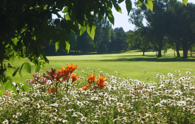 Picture of Valley Hi greens through the view of tree leaves and a flower bed of orange and white flowers.